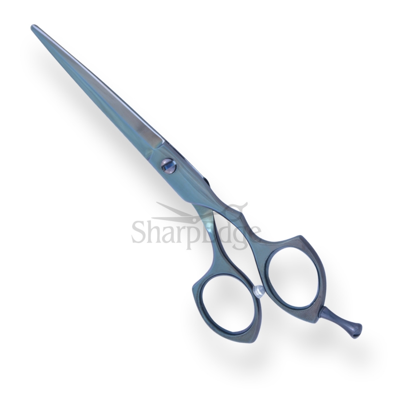 Professional Hair Dressing Scissors 